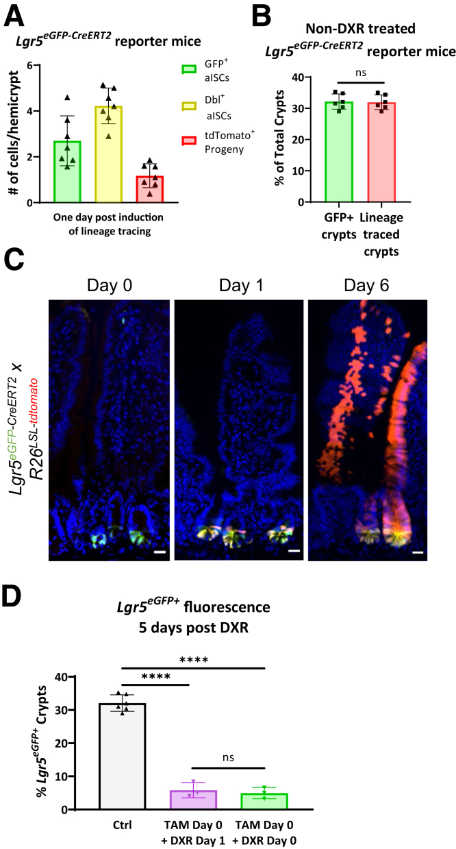 Figure 7