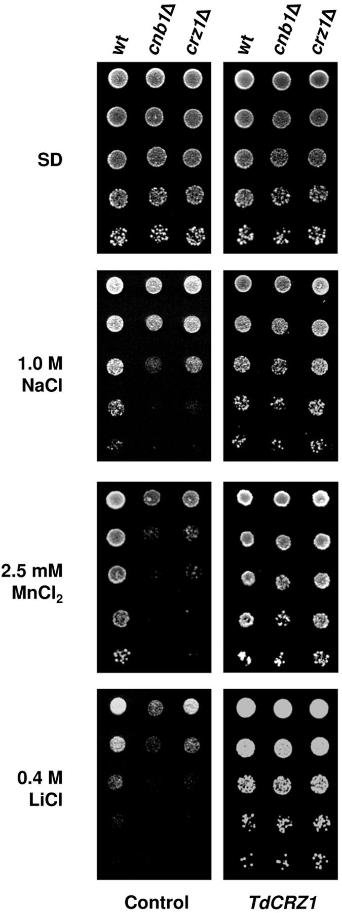 FIG. 3.