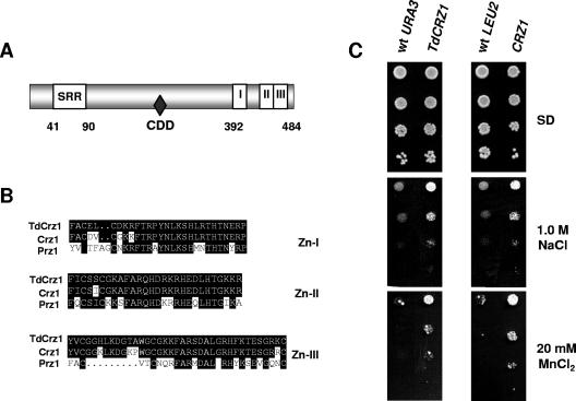 FIG. 2.