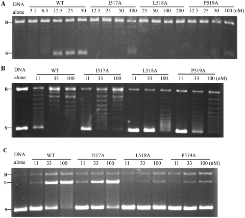 Figure 6.