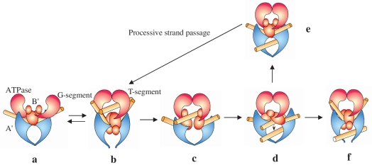 Figure 9.