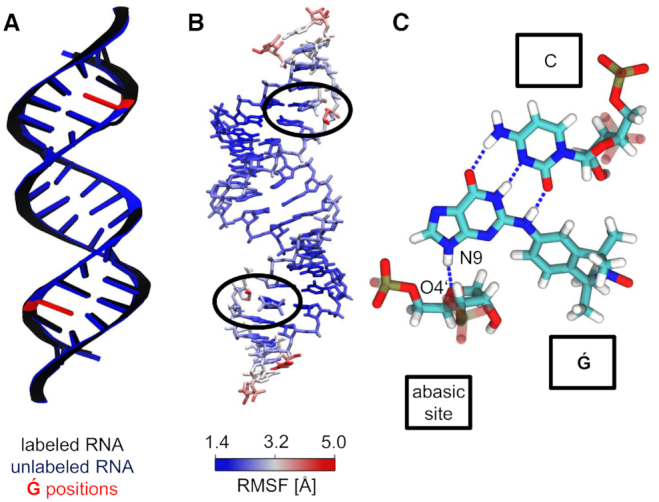 Figure 5.