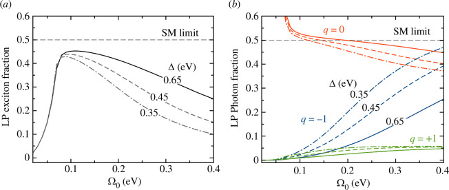 Modified polariton wavefunctions in low-finesse cavities