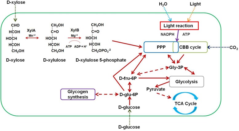 FIGURE 1