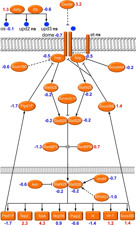 Fig. 5