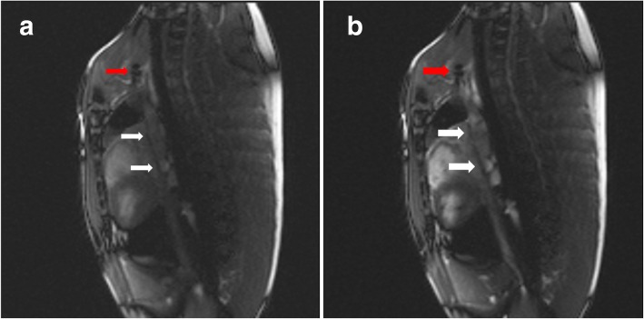 Fig. 9