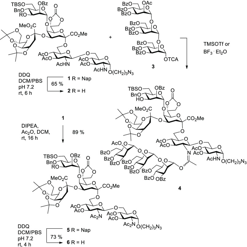 Scheme 1