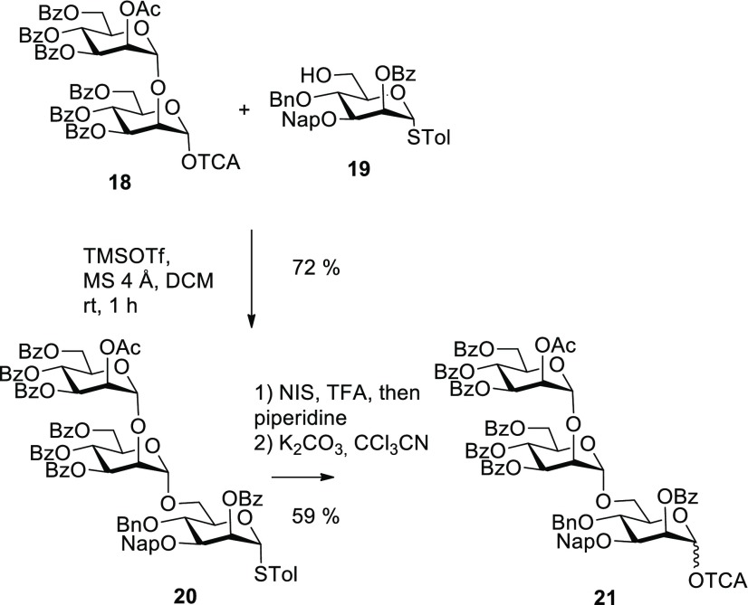 Scheme 4