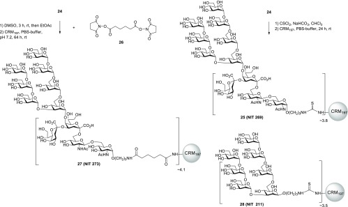 Scheme 6