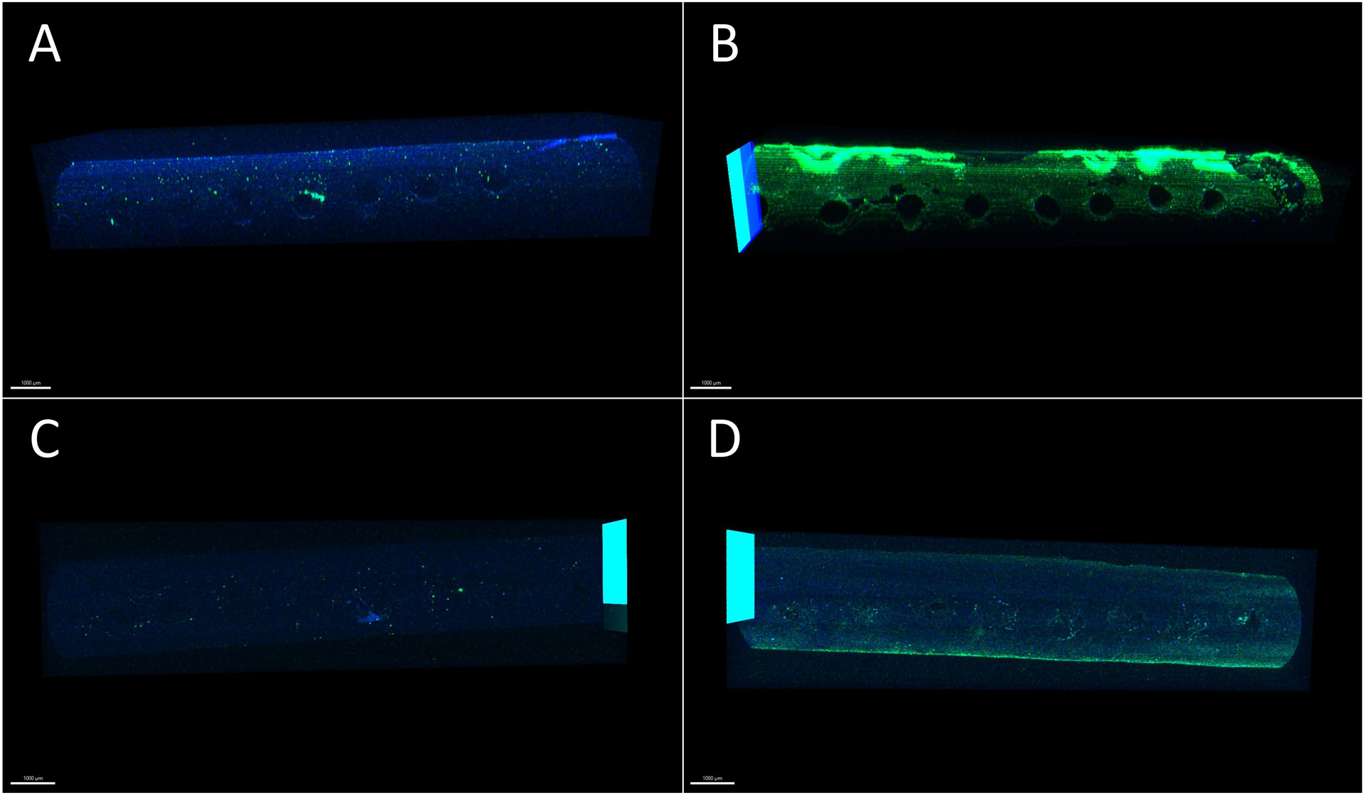 Figure 5: