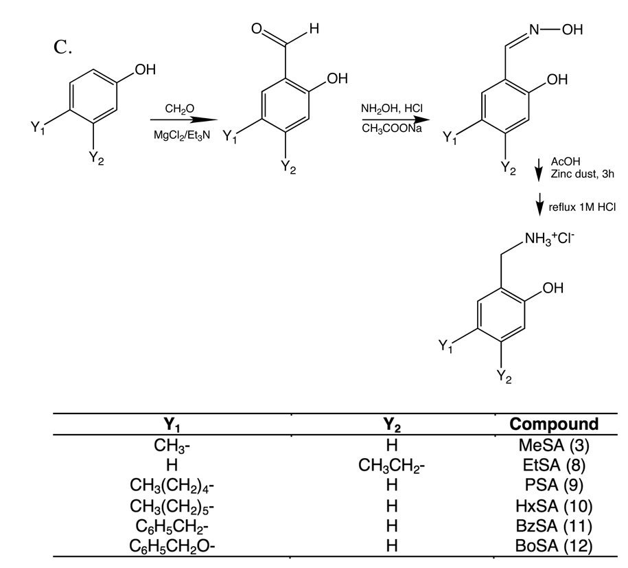 Scheme 1