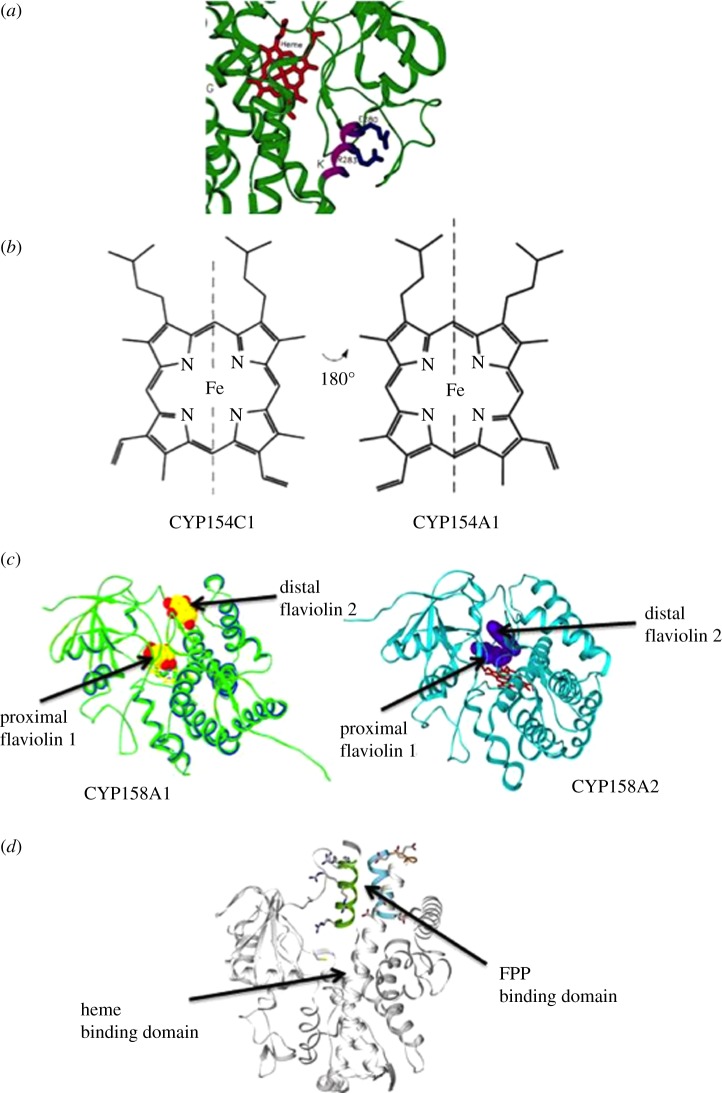 Figure 4.