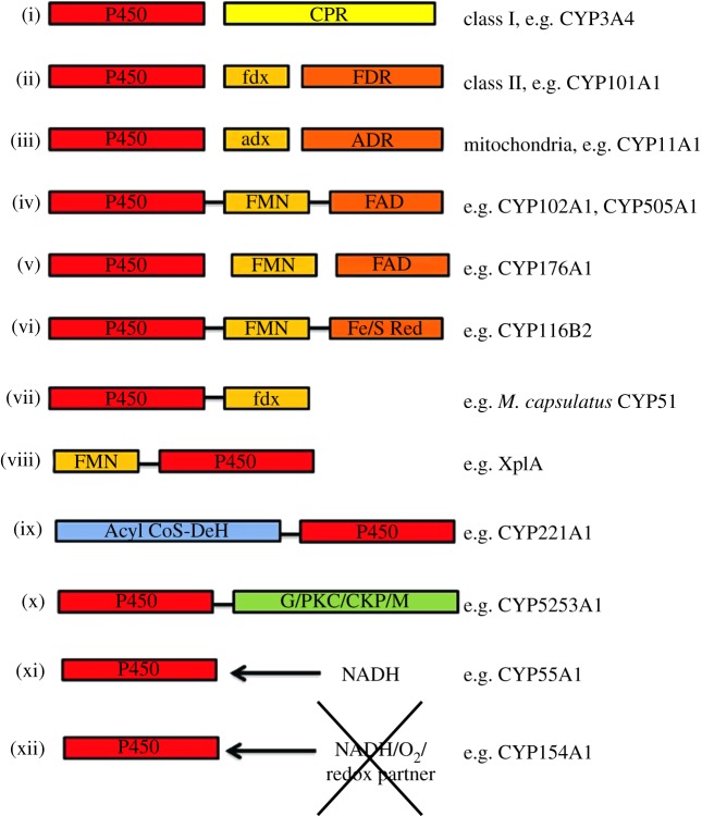 Figure 2.