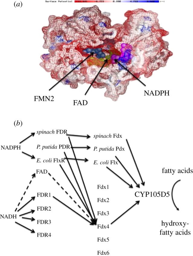 Figure 3.