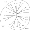 FIG 3