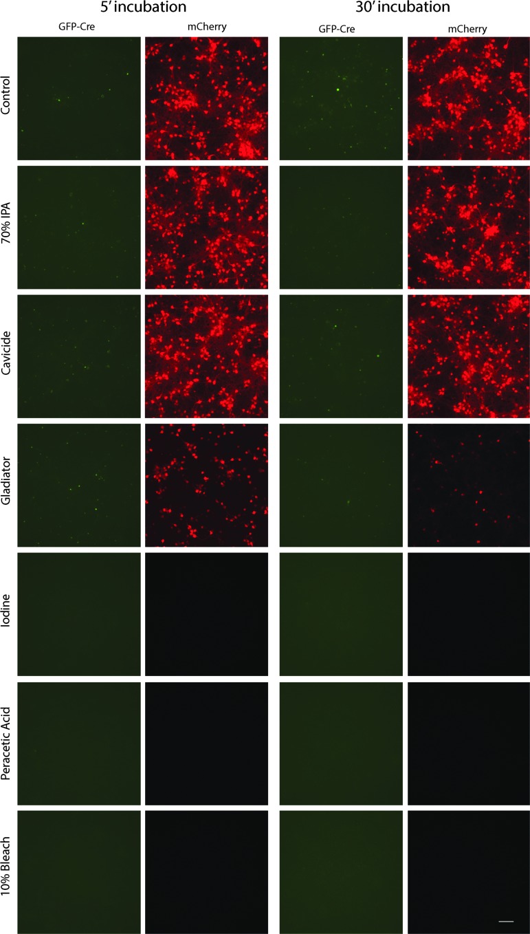 Figure 4.