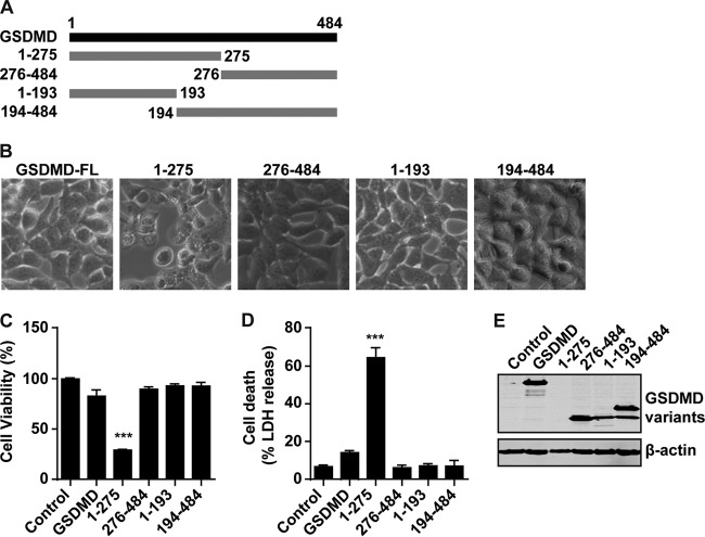 FIG 6