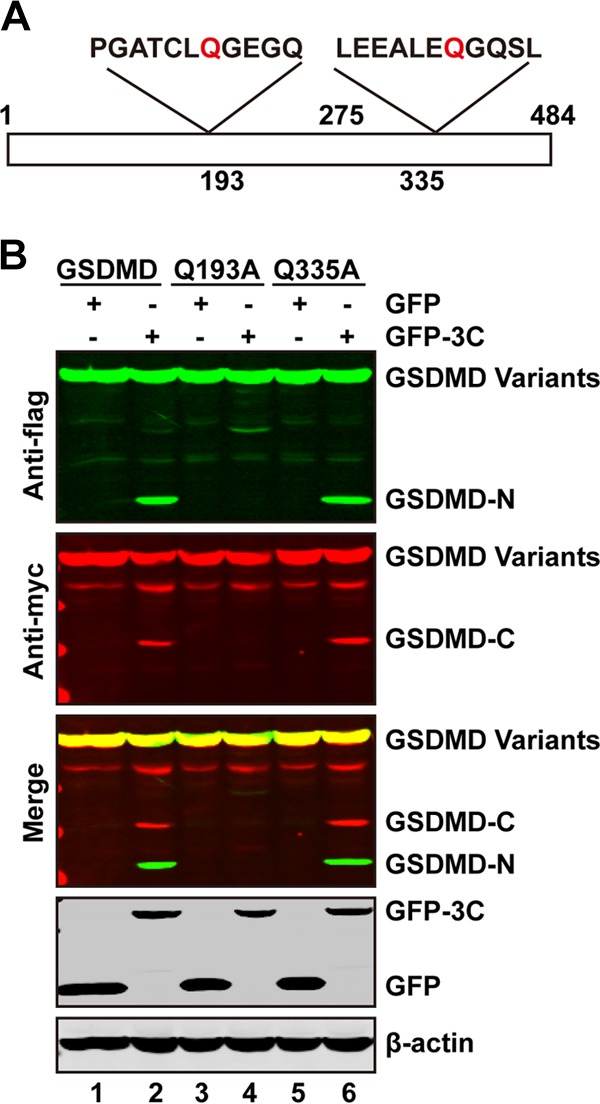 FIG 4