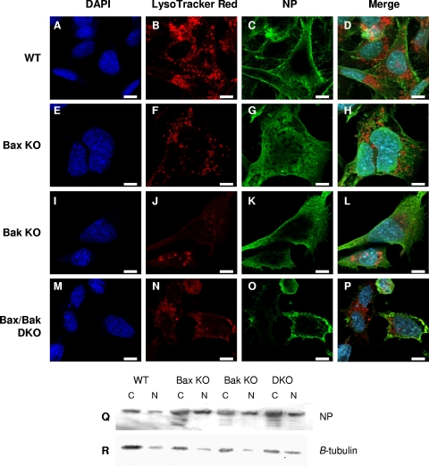 FIG. 8.