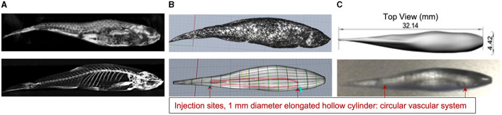 Figure 2