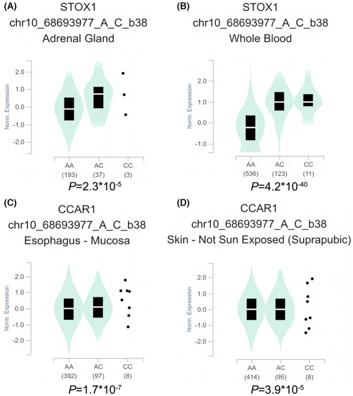 FIGURE 2