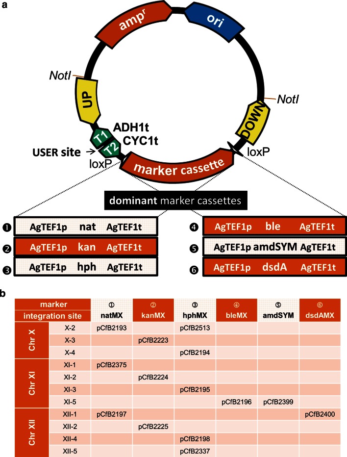 Fig. 1