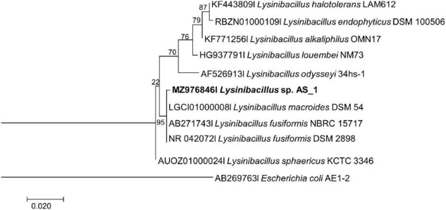 FIGURE 1