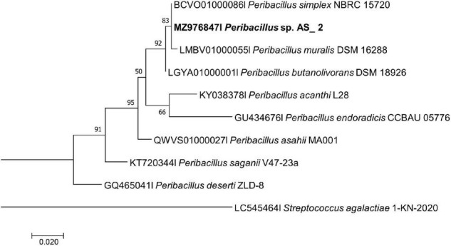 FIGURE 2