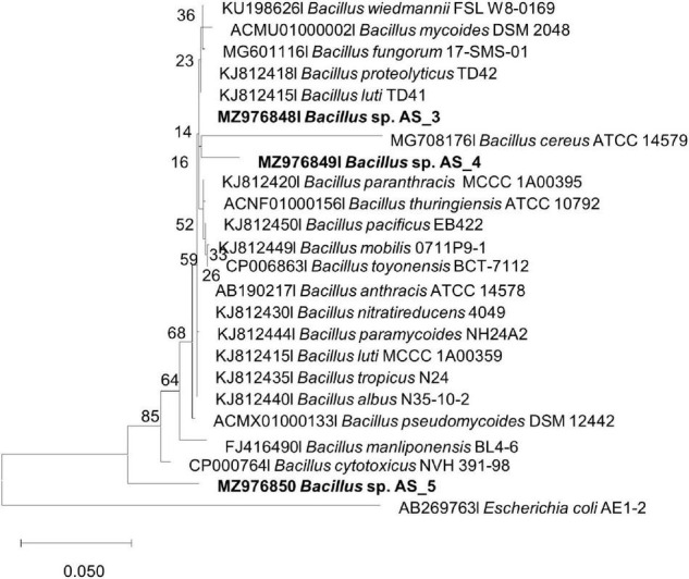 FIGURE 3