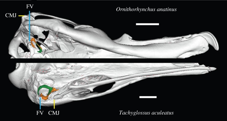 Figure 5.