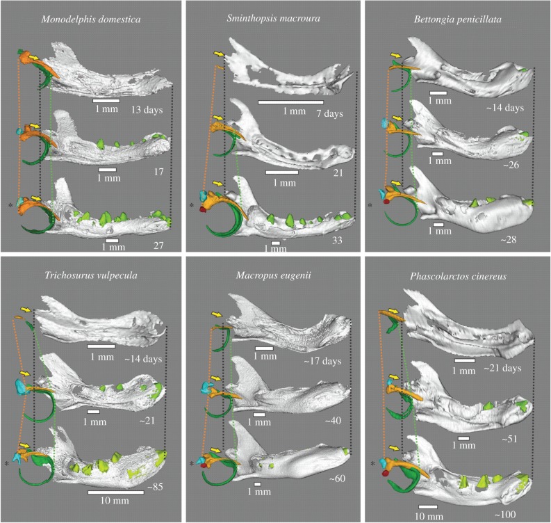 Figure 1.