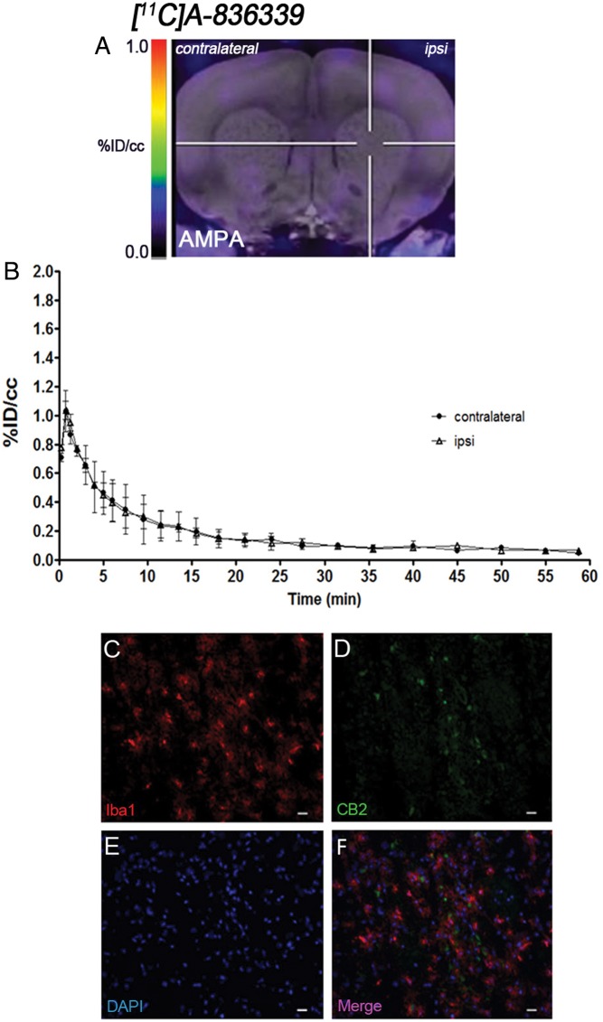 Figure 4.