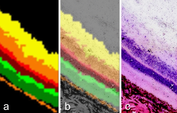 Fig. 10