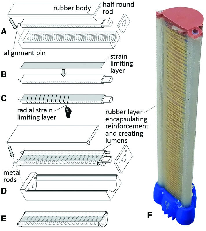 FIG. 2.