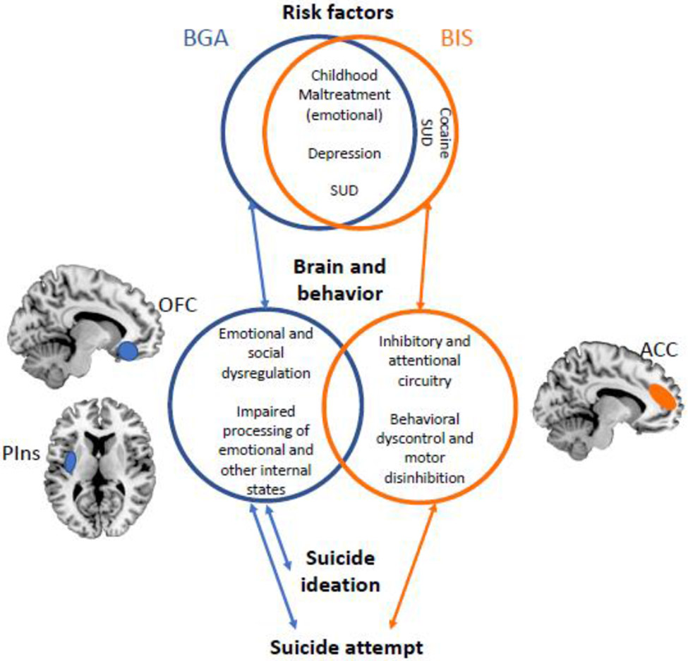 Figure 2: