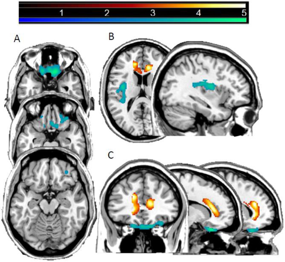 Figure 1: