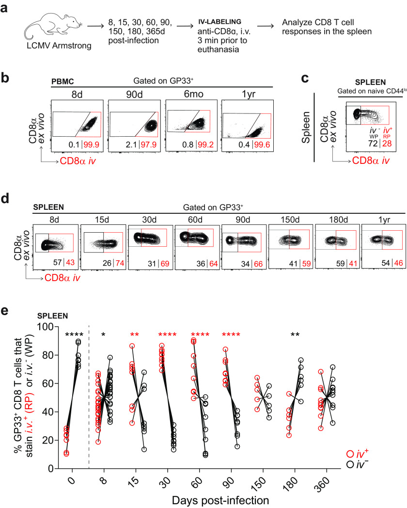 FIG 6