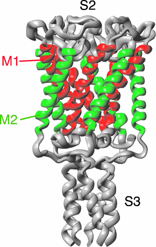 FIGURE 1