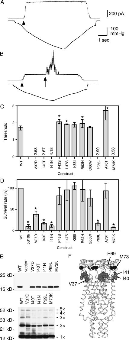 FIGURE 3