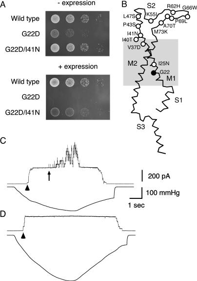 FIGURE 2