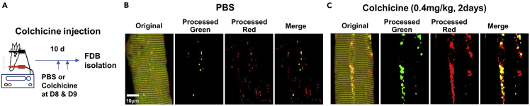 Figure 3