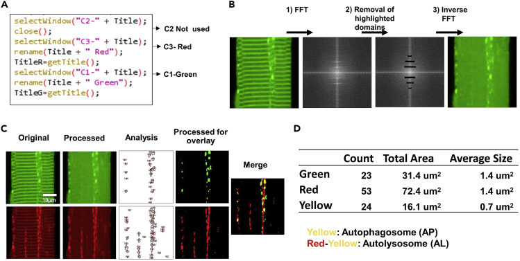 Figure 2