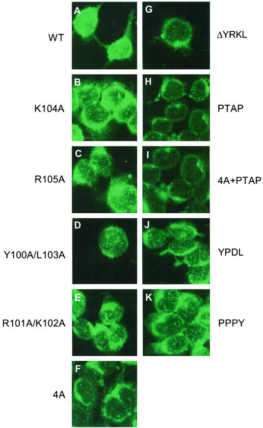 FIG.9.