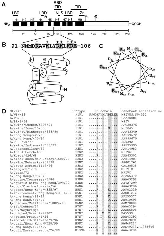 FIG. 1.