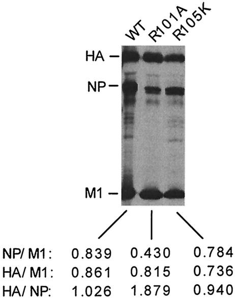 FIG. 7.