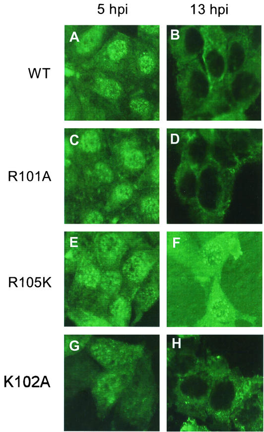 FIG. 5.