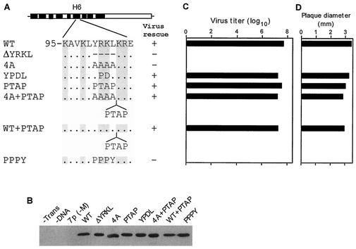 FIG. 8.