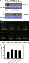 Figure 10.