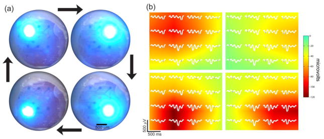 Figure 5