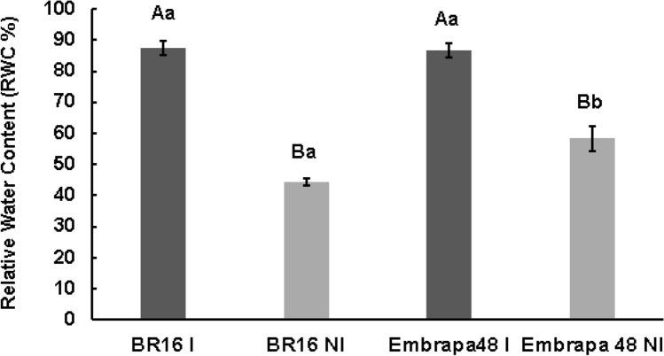 Fig. 8